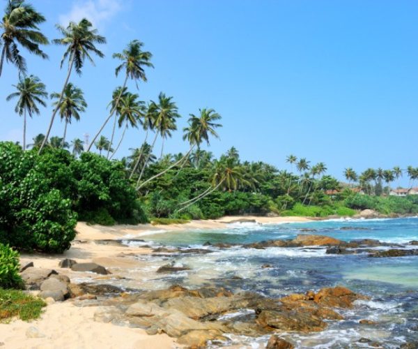 Best Places To Visit In Goa